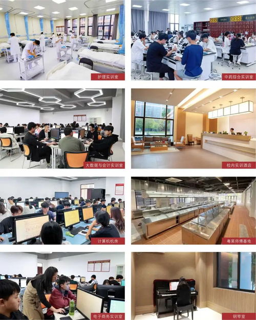 广东酒店管理职业技术学院2024年春季高考餐饮管理专业详解 开启酒店服务业职业新篇章